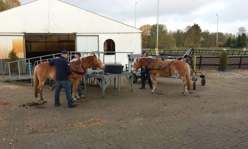 de-gravenruiters-huifbedrijden-20151116 Huifbedrijden