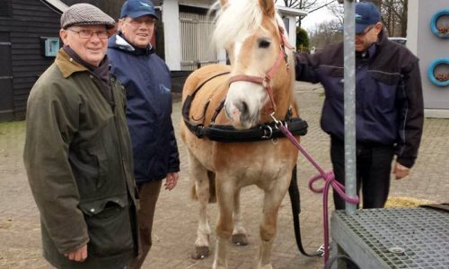 de-gravenruiters-huifbedrijden-20160202 Huifbedrijden Daantje