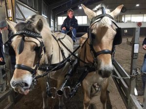 Bassie en Adriaan - Fgs