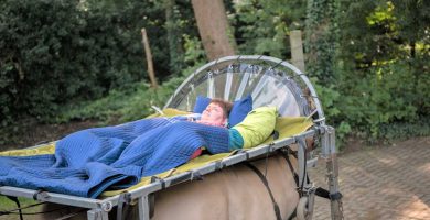 Collecte HandicapNL ondersteund het Huifbedrijden