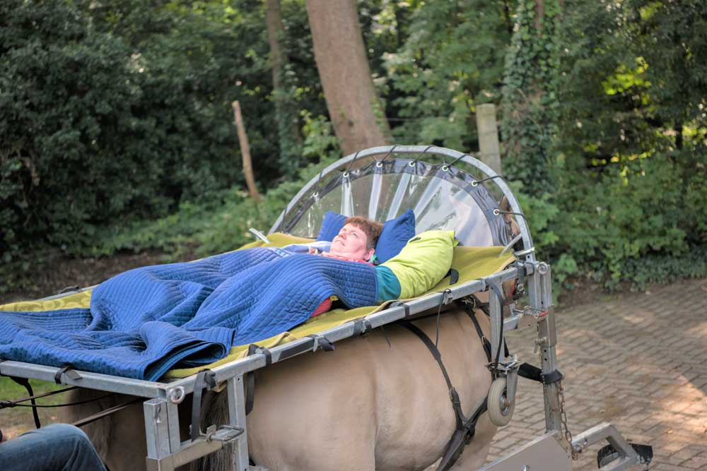 Collecteweek HandicapNL van 23 t/m 28 september Collecte HandicapNL ondersteund het Huifbedrijden